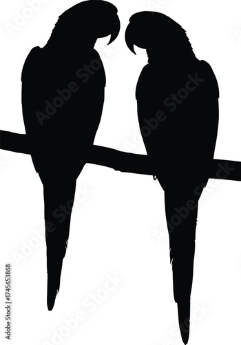 Two parrot silhouettes are perched on a branch, their dark forms creating a striking contrast against the white background isolated on white background