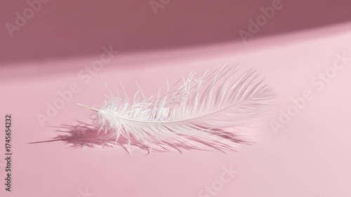 A delicate white downy feather rests on a smooth pink surface casting a soft shadow under bright directional light creating a diagonal shadow in the background