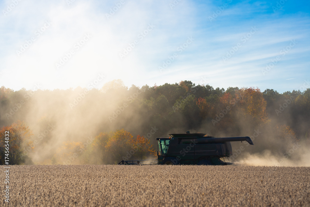 Fototapeta premium Autumn harvest. Fields with harvest wheat. Combine harvester in a wheat field. Harvest on rural farm. Combine harvester machinery. Farming Combine harvester at work. Rural landscape with a harvest.