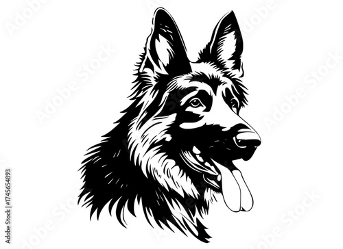 a black and white drawing of a german shepherd dog headBorder collie, black, dog, german shepherd, hang, head, illustration, image, logo, mouth, profile, sheepdog, shepherd, white 