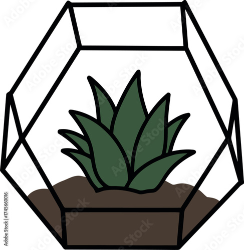 Geometric terrarium with succulent plant modern decor vector