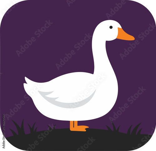 White duck with orange beak and feet on dark green grass against dark purple background