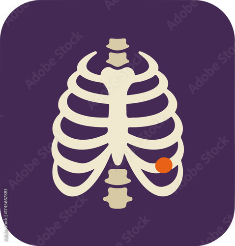 Medical illustration of a human ribcage with an orange dot on a purple background