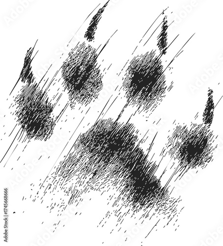 Bear paw print sketch, hand drawn vector with rough textured lines — stock vector