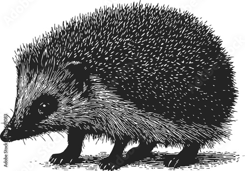 Hedgehog sketch hand drawn side view detailed spines and fur — stock vector