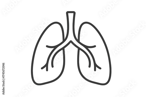 Lungs icon vector. Human organ line symbol. Respiratory system simple outline drawing. Health, medicine, and anatomy concept. Pulmonology logo isolated on white background.