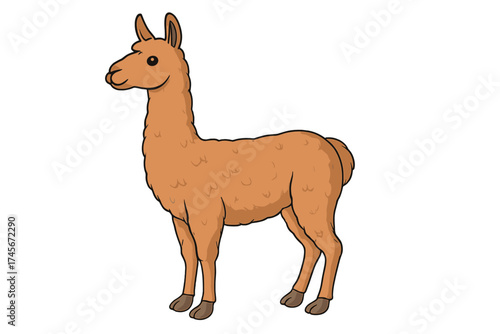 Cute llama cartoon character vector illustration. Simple brown alpaca mascot standing in side view. Farm or zoo animal graphic icon isolated on white background. Happy pet.