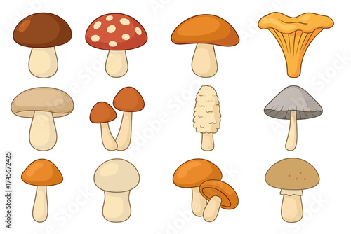 Mushroom icon set cartoon style. Big collection of different fungi vector symbols. Forest wild mushrooms, amanita, porcini, chanterelle. Flat food illustration isolated.