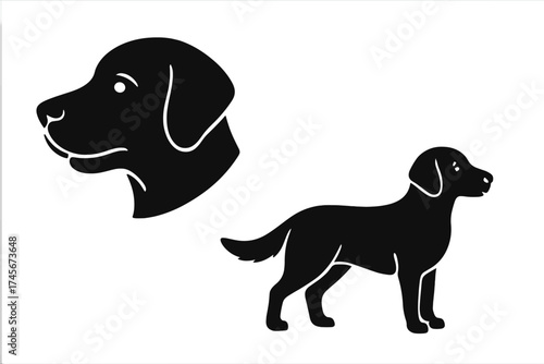 Retriever dog vector icon set. Labrador silhouette collection for web and print. Pet animal graphic element. Canine profile head and full body illustration. Black style logo.