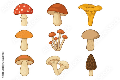 Mushroom icon set. Various edible and poisonous forest mushrooms. Cartoon vector illustration collection. Fly agaric, chanterelle, boletus, porcini, morel, oyster fungi.