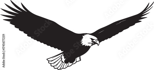 Majestic eagle flying silhouette isolated on white background