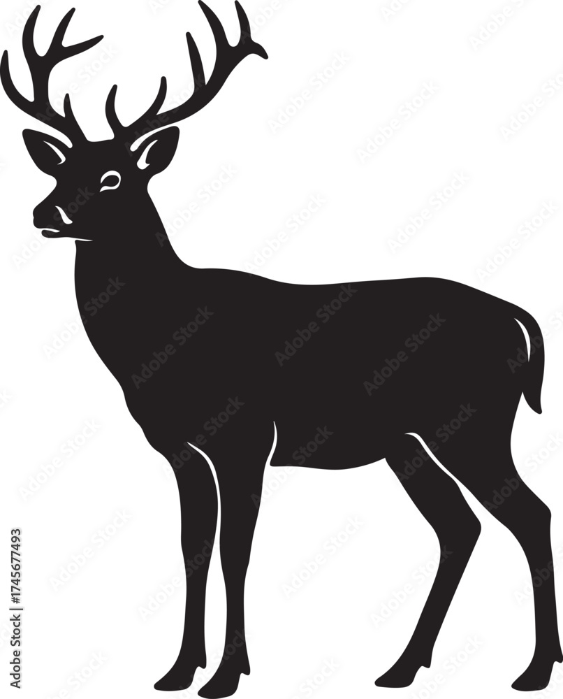 Fototapeta premium Deer standing silhouette isolated on white background