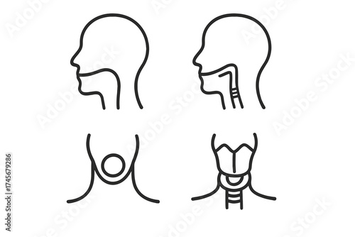 Throat anatomy vector icons set, human head silhouette with throat and neck structure, medical illustration, vocal cords and larynx transparent background, healthcare design