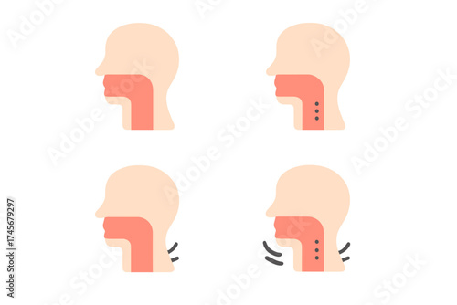 Throat anatomy vector illustration set showing stages of throat movement and air flow in human profile with transparent background, medical and health icon for web and mobile