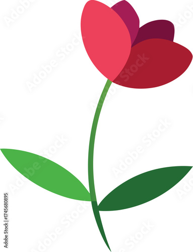 a stemless flower floating mid air  shadow beneath