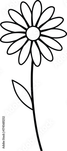 a single daisy flower standing upright 