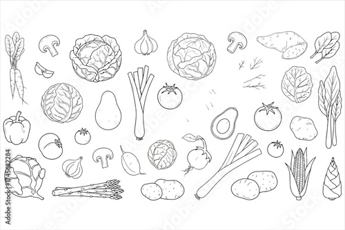 Vector art of hand drawn vegetables on a, creating a fresh and natural design