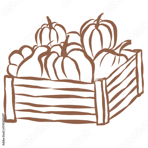 Line Art of Pumpkins in Crate Illustration. Hand-Drawn Doodle.