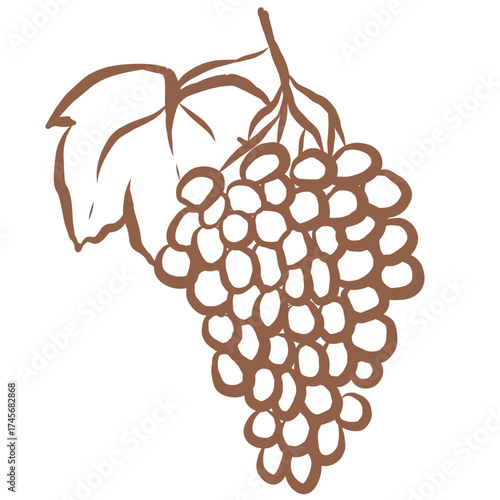 Line Art of Grape Illustration. Hand-Drawn Doodle.