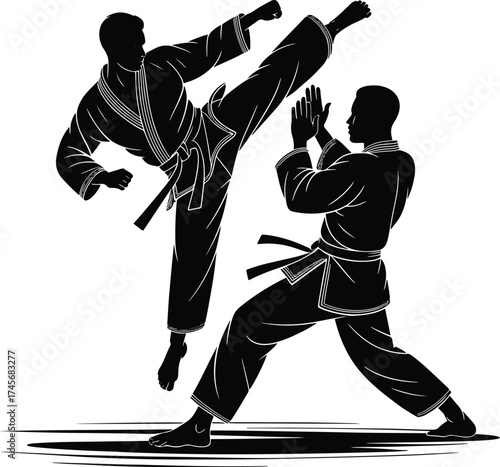 Karate Martial Arts Training Two Figures in Silhouettes Performing Kick and Defense Techniques