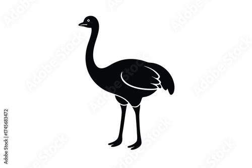 standing ostrich silhouette vector icon