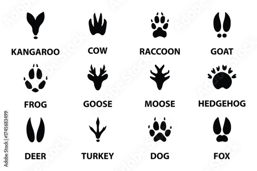 Illustration of various animal footprints showing distinct shapes for paw prints and tracks from different species. Wild animal feet silhouette. Vector zoo footsteps set.