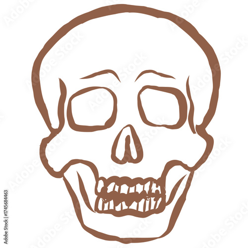 Line Art of Scull Illustration. Hand-Drawn Doodle.