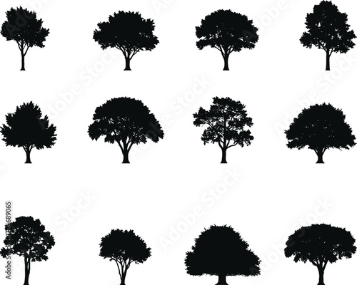 Tree silhouette vector set, diverse canopy shapes, botanical outline icons, foliage design elements, landscape reference sheet, nature illustration pack