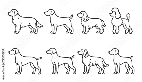 Illustration of various dog breeds silhouettes on gradient background