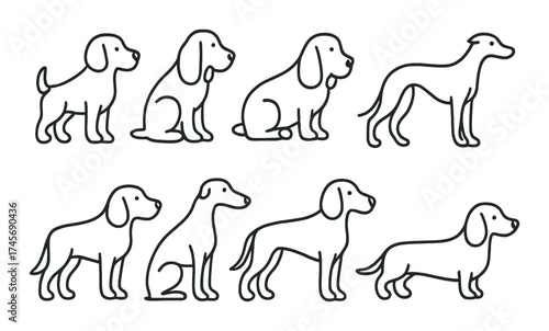 Silhouette collection of various dog breeds on a dark background