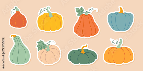 Pumpkin sticker set. Pumpkin and squash different colors and sizes. Hand drawn trendy flat style isolated. Thanksgiving, farm harvest. Vector illustration