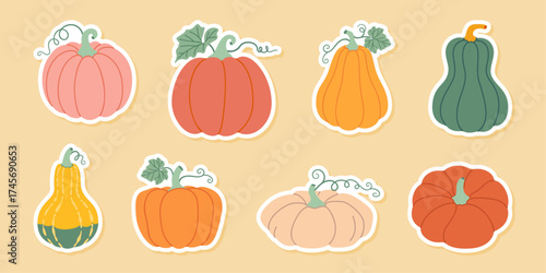 Pumpkin sticker set. Pumpkin and squash different colors and sizes. Hand drawn trendy flat style isolated. Thanksgiving, farm harvest. Vector illustration