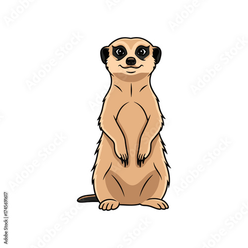 A cheerful meerkat standing upright in a minimalist environment, showcasing its alert demeanor