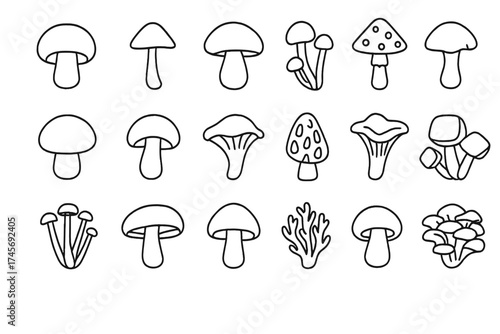 Mushroom line icon set. Big collection of fungi vector symbols in minimal outline style. Includes champignon, amanita, chanterelle, boletus & morel. For web, logo, food, or nature.