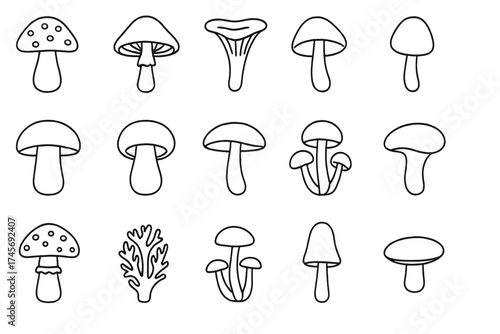 Mushroom icon set, linear outline style. Big collection of forest fungi vector symbols. Edible and poisonous toadstool illustration for autumn, fall design. Mycology concept.