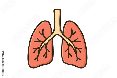 Lungs icon in cartoon flat style. Human respiratory system organ anatomy symbol for pulmonology, medicine and healthcare design. Breathing concept vector illustration for biology.