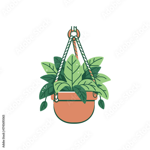 A vibrant hanging planter filled with lush green leaves, set against a minimalist background