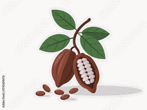 Cocoa Beans on Branch with Leaves and Scattered Beans Fresh Harvest and Natural Ingredient Illustration for Food and Beverage Concepts