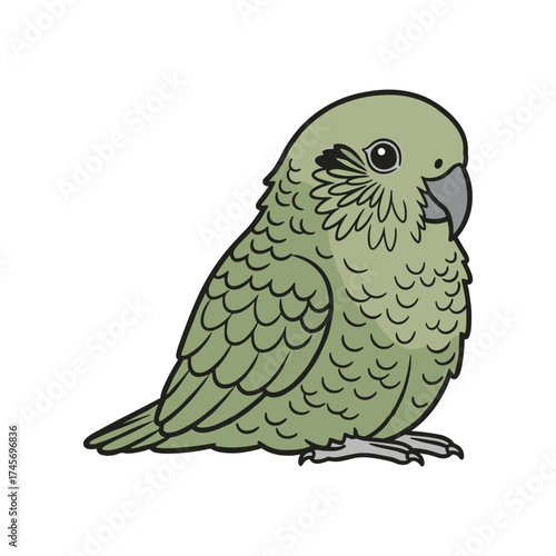 Cute green parrot sitting quietly on a white background, showcasing its vibrant feathers and curious gaze