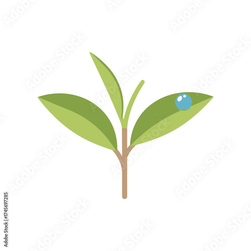 Fresh green leaves with a water droplet, symbolizing nature's rejuvenation and growth