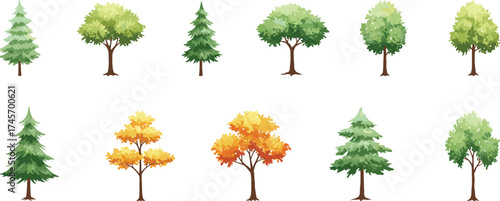 Seasonal tree illustrations, conifer and deciduous species, foliage color variations, vector forest elements, nature design assets, stylized plant collection