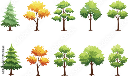 Seasonal tree set, autumn and evergreen foliage, vector forest icons, stylized canopy design, nature illustration pack, landscape elements
