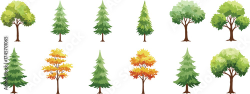 Stylized tree illustration set, seasonal foliage variations, conifer and deciduous species, vector forest icons, nature design elements, autumn colors