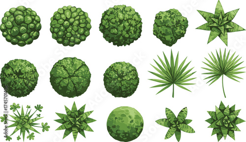 Top view plant illustration set, stylized foliage icons, garden tree graphics, landscaping elements, vector nature assets, green texture pack