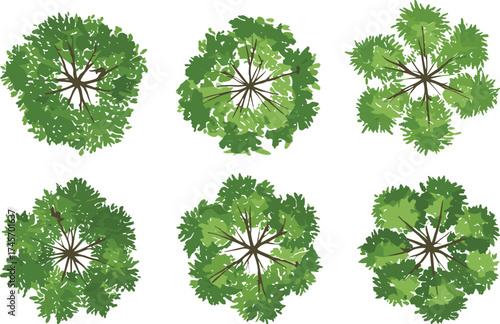 Top-down tree canopies, aerial tree graphics, foliage texture set, botanical illustration, landscape design asset, stylized nature clipart, green canopy art