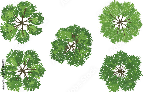 Top-down tree canopies, aerial tree graphics, foliage texture set, botanical illustration, stylized nature clipart, green canopy art, landscape design asset