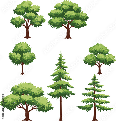 Tree illustration set, deciduous and coniferous trees, foliage diversity, botanical vector, nature clipart, forest elements, landscape design, tree pack
