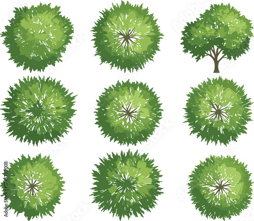 Tree illustration set, top-down and side views, stylized canopy textures, green foliage icons, nature vector assets, landscape design elements