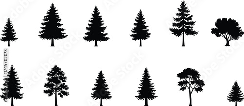 Tree silhouette collection, conifer and deciduous shapes, forest vector icons, stylized foliage forms, nature design assets, landscape illustration set