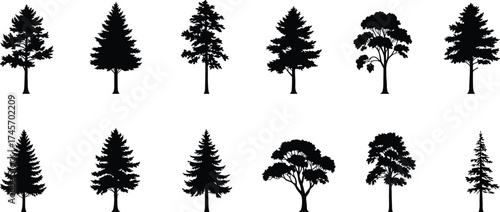 Tree silhouette vector set, diverse tree shapes, botanical outline icons, forestry design assets, landscape reference, conifer and deciduous trees